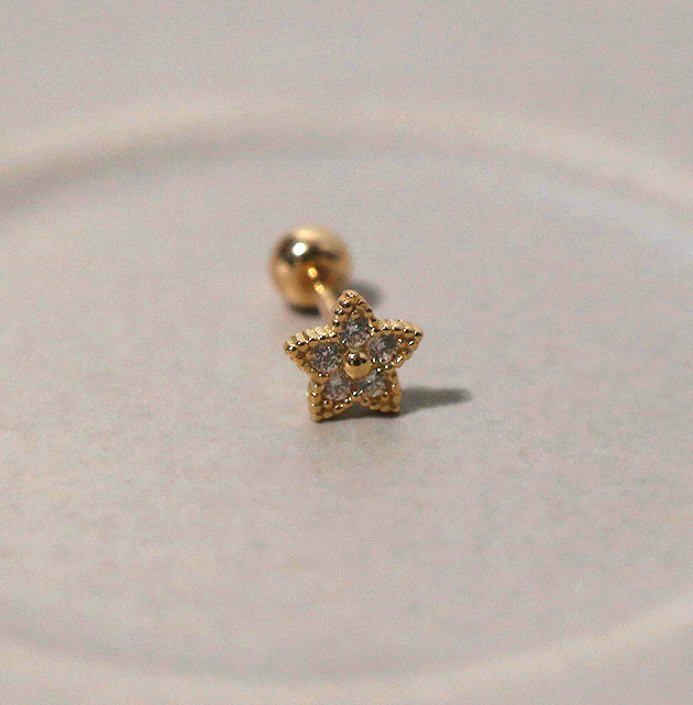 14k Gold Petite Star Piercing